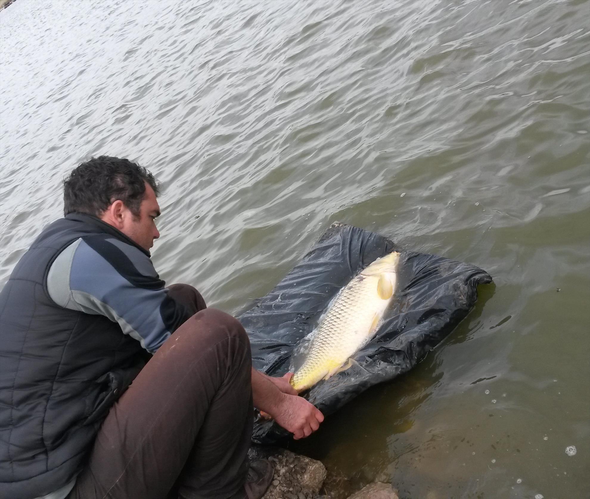 Sulimanu 27 aprilie 2014 - 11.jpg